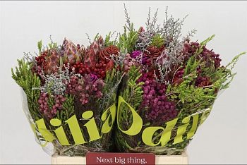 										Экзотик (Exotic) Mix 40 Cm									